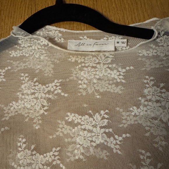 All in Favor Sheer White Lace Blouse - Picture 4 of 4